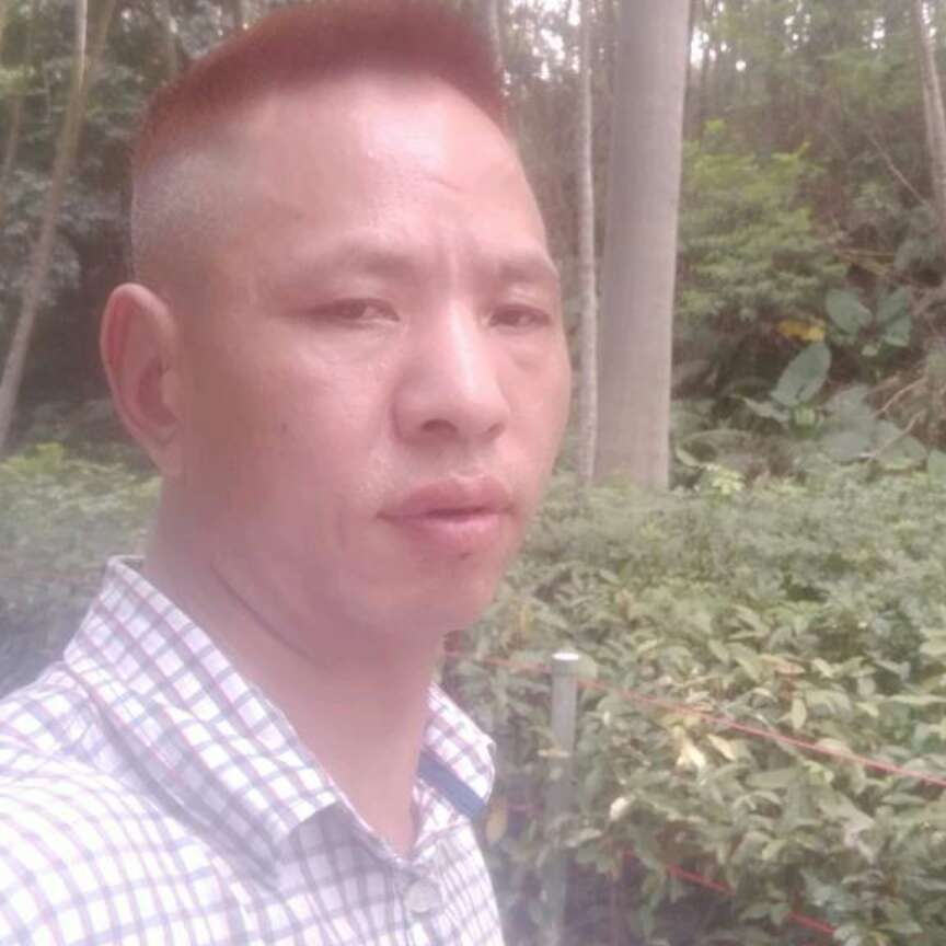 无垠拿树叶的照片
