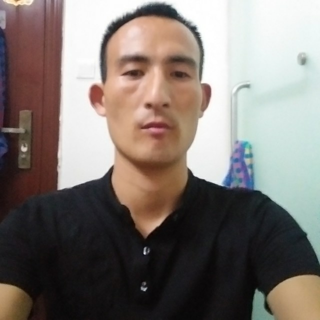 洁净的野狼的照片
