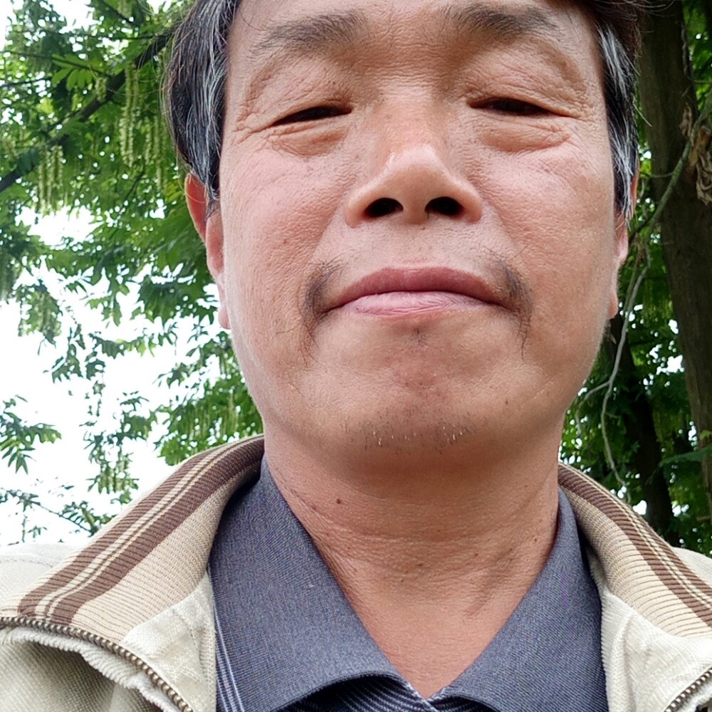 错落打草丛的照片