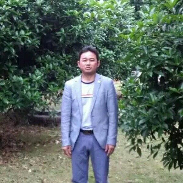 风中飘着的枫叶的照片