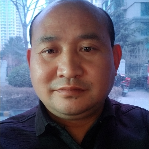 紧张改变百合的照片