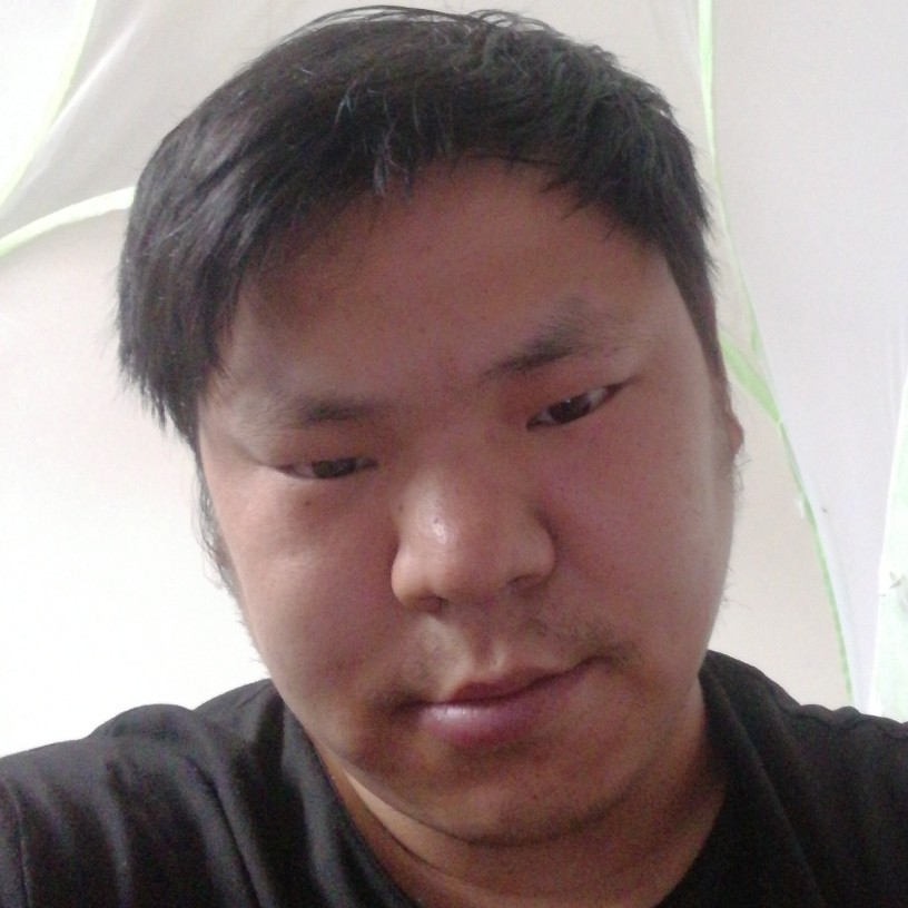 聪慧等待剪影的照片