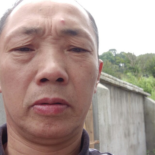 龙的大海的照片