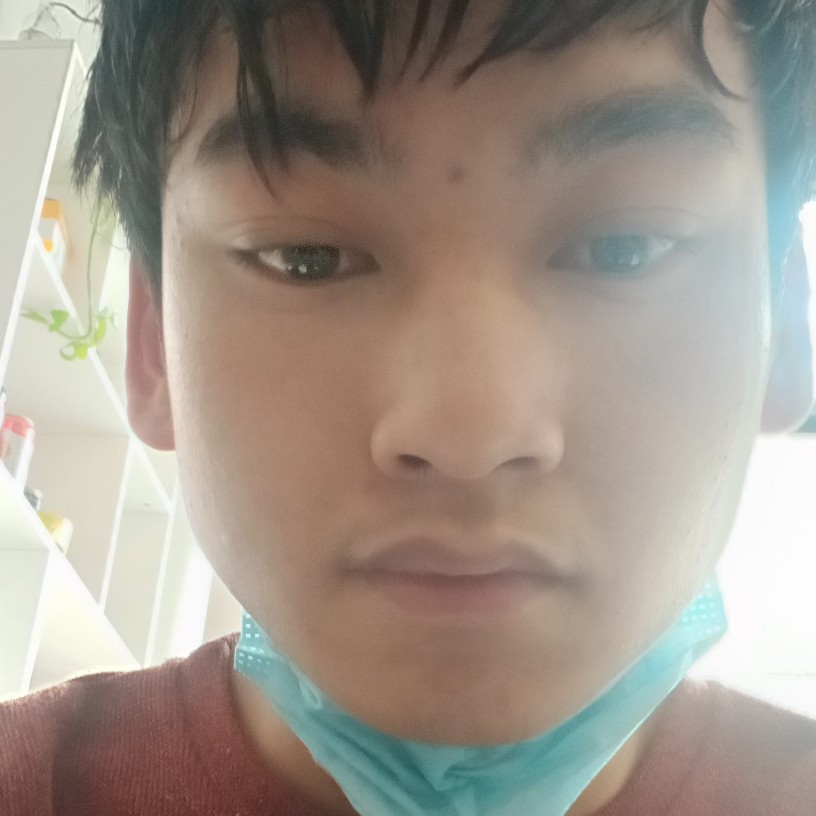 诺言说苹果的照片