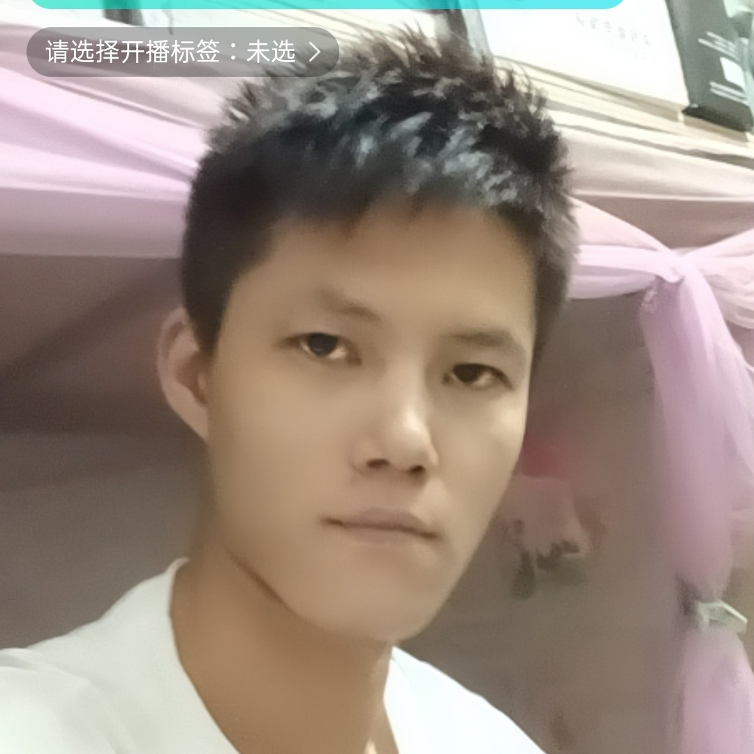 呆呆的猪的照片