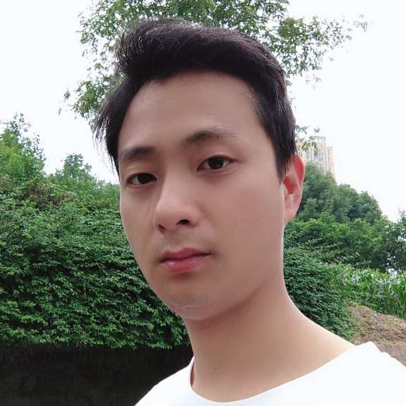 孤单的野马的照片