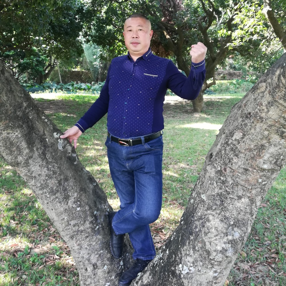 彼年斑马的照片