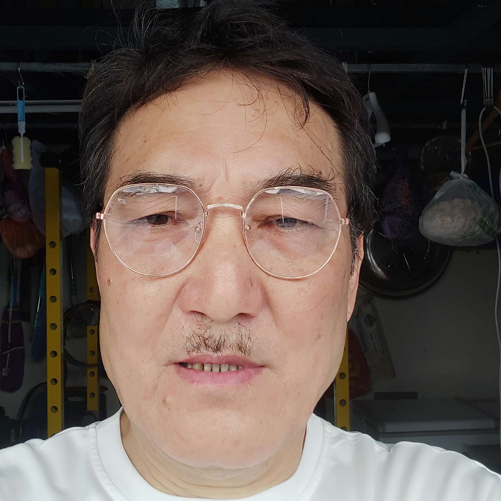 水中木的照片
