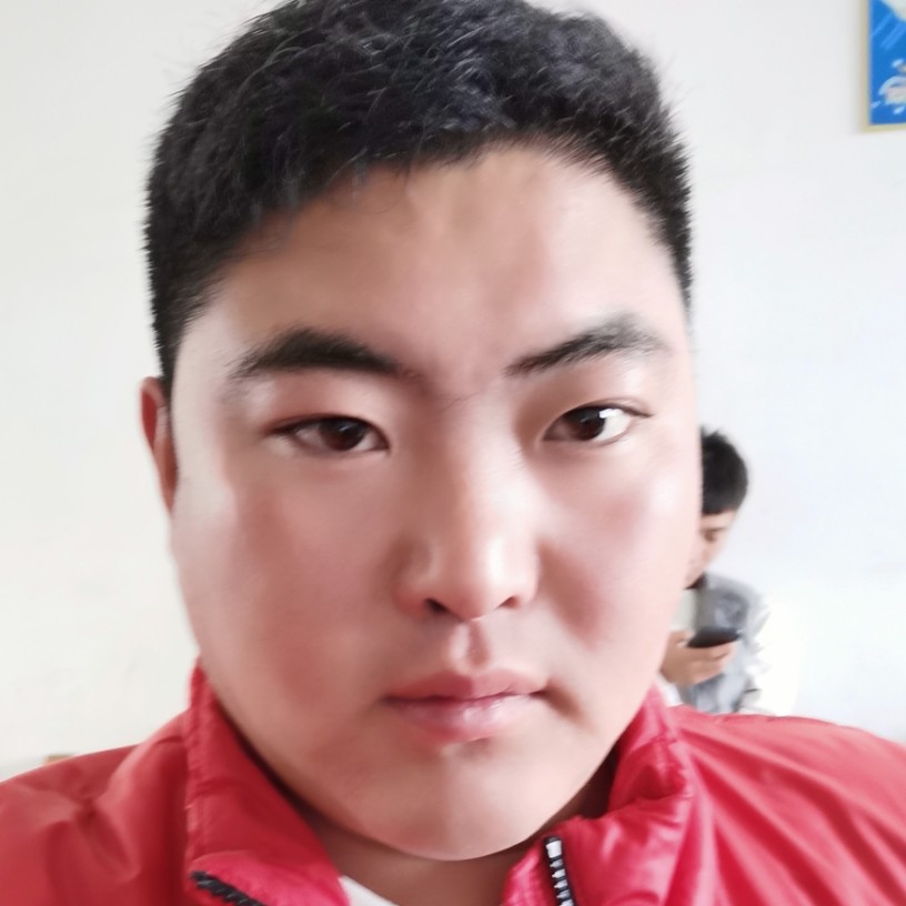 伤心的海胆的照片