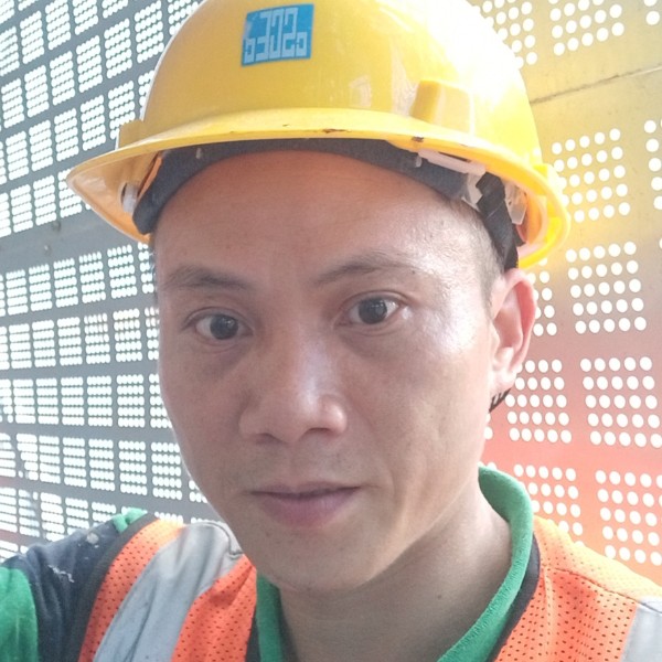 胡萝卜蹁跹有魅力的照片