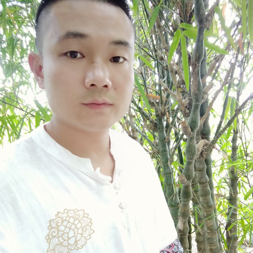 许枫飞扬的照片