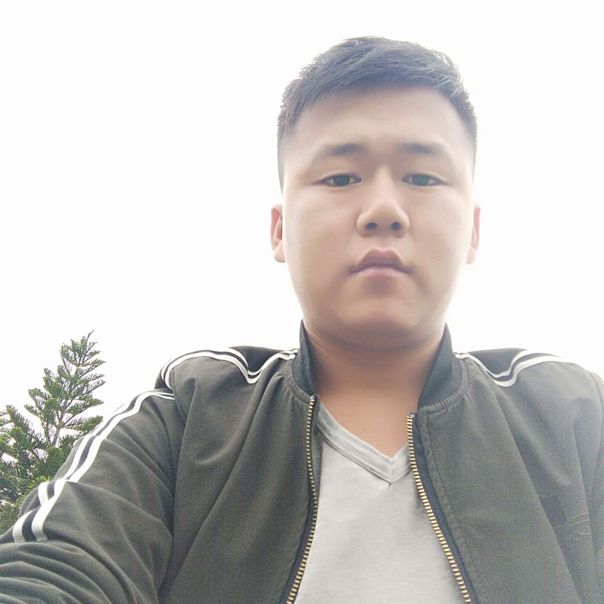 电灯胆闻朴实的照片