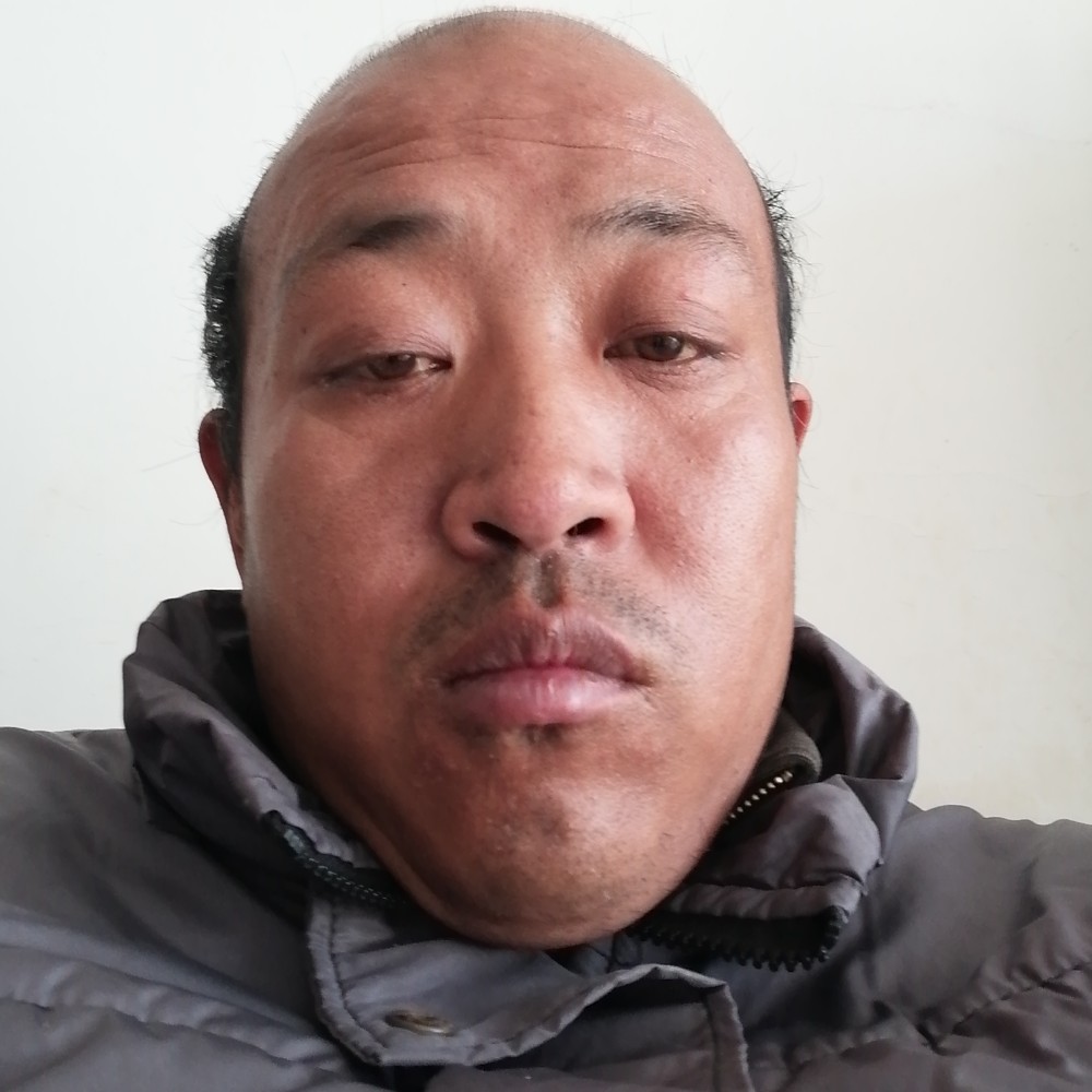 勤奋浅吻火龙果的照片