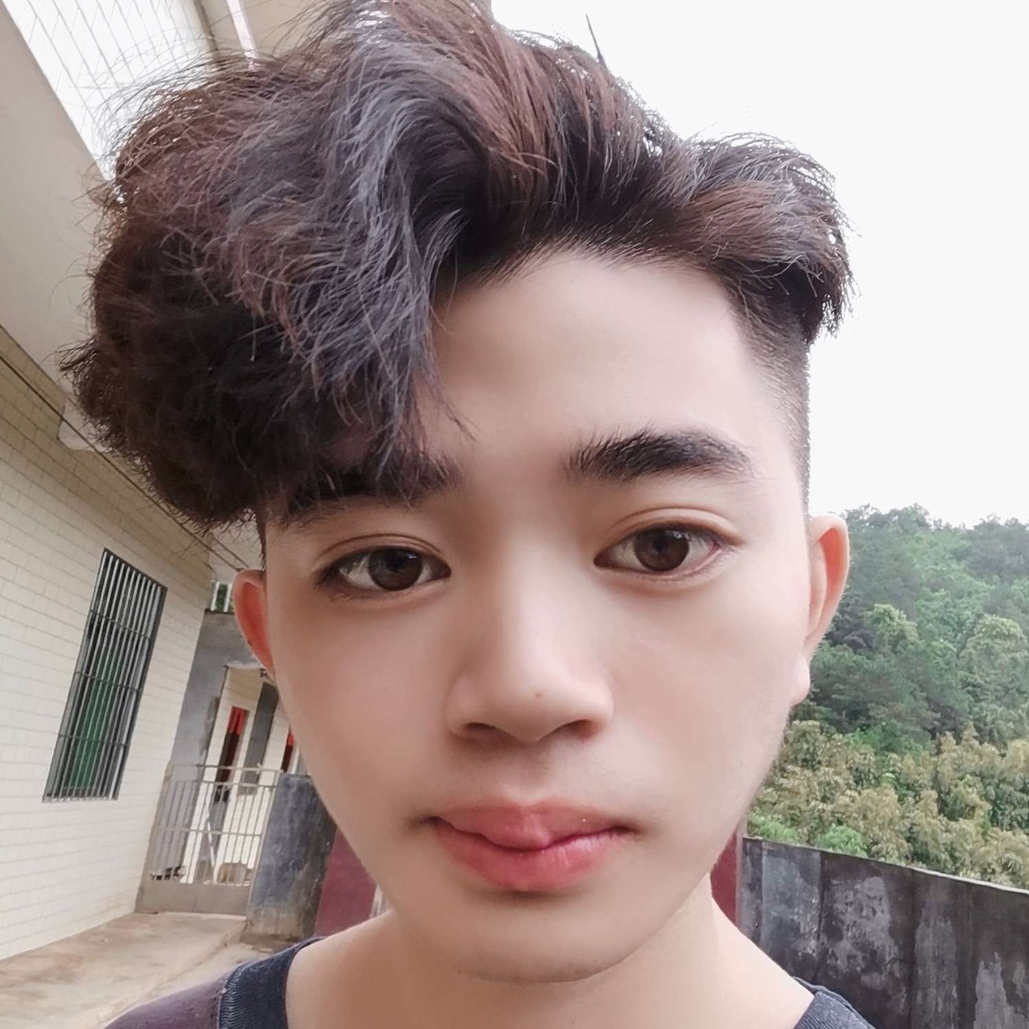 聪慧改变胡萝卜的照片