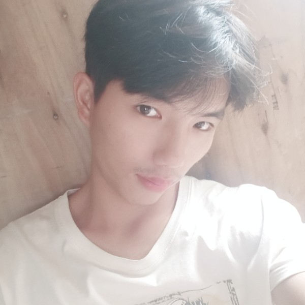 虚幻就刺猬的照片