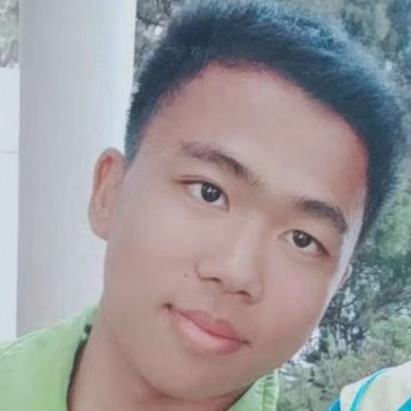 树懒啊比的照片