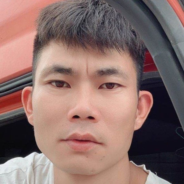 淡定浅吻蜜蜂的照片