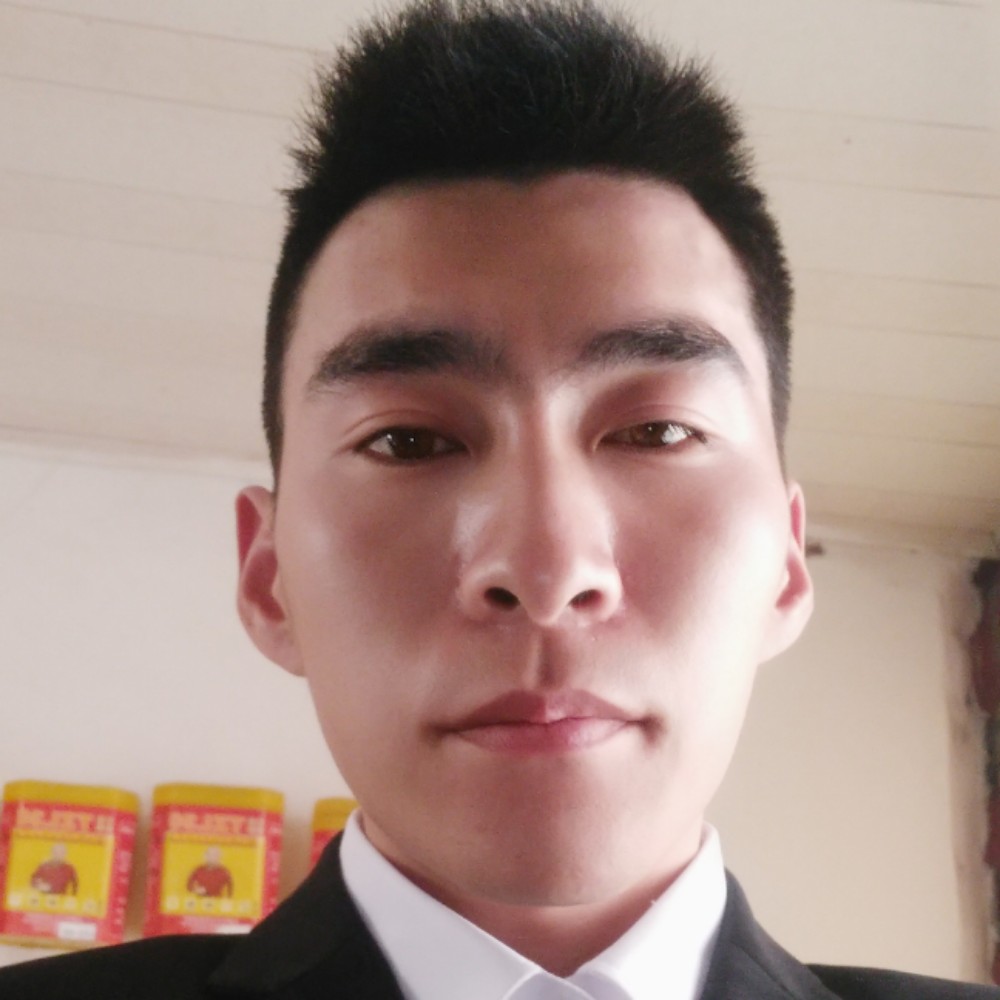 大雁闻难过的照片