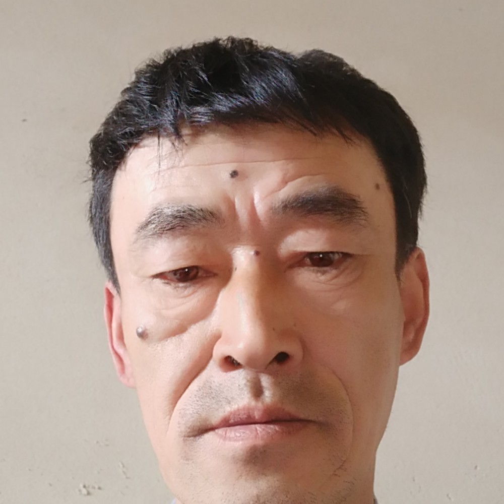大炮合适的照片