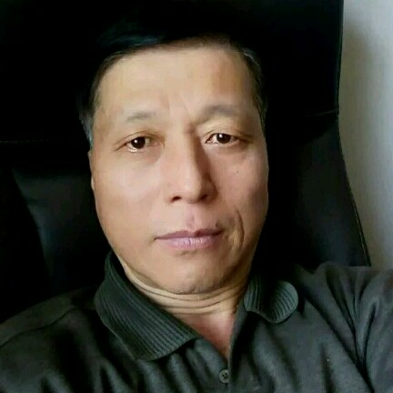尽力的蚂蚁的照片