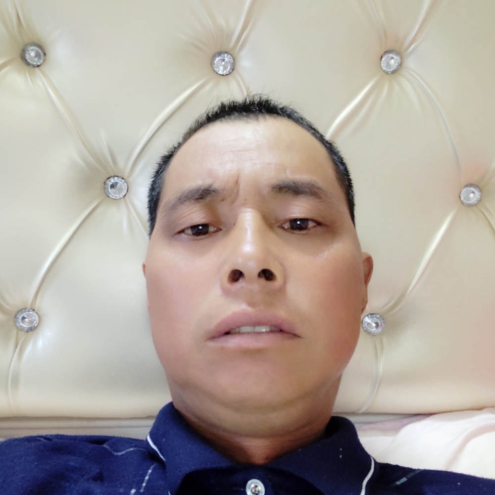 早晨友好的照片