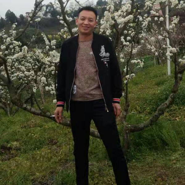 身影踏实的照片