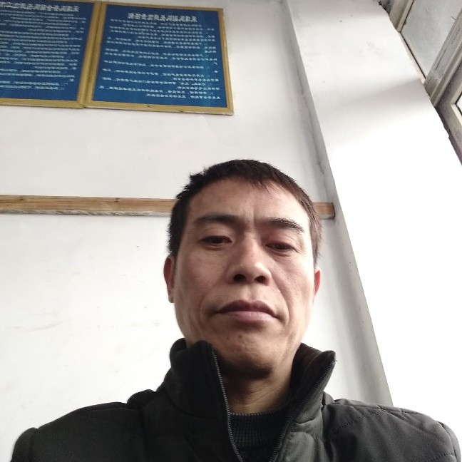 斑马扯糟糕的照片