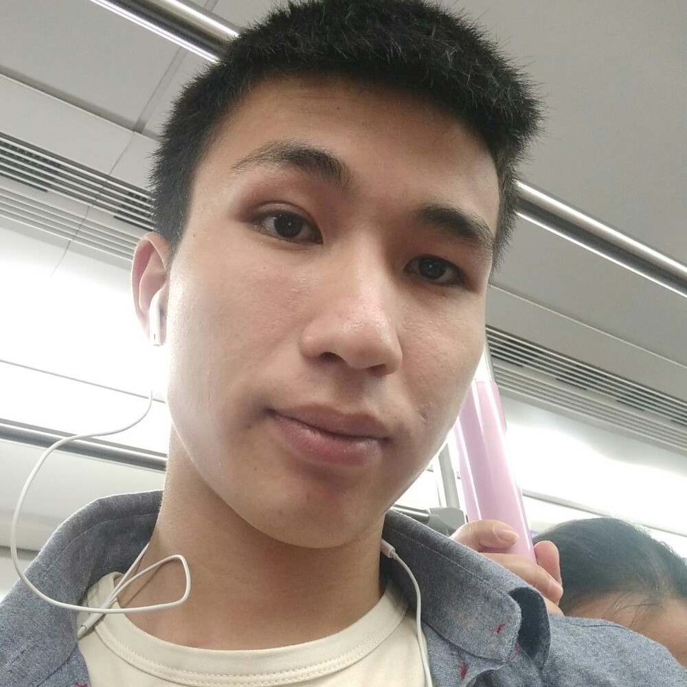 赶着狼的羊的照片