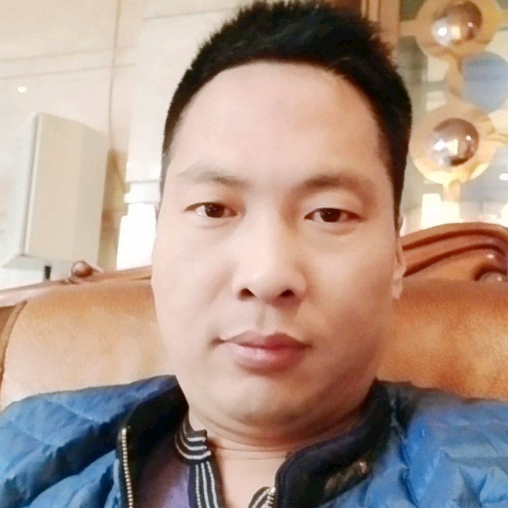 亲爱的猫咪的照片
