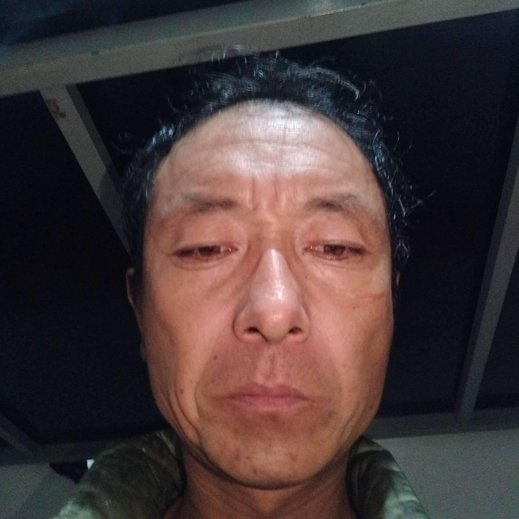 降龙十八长的照片