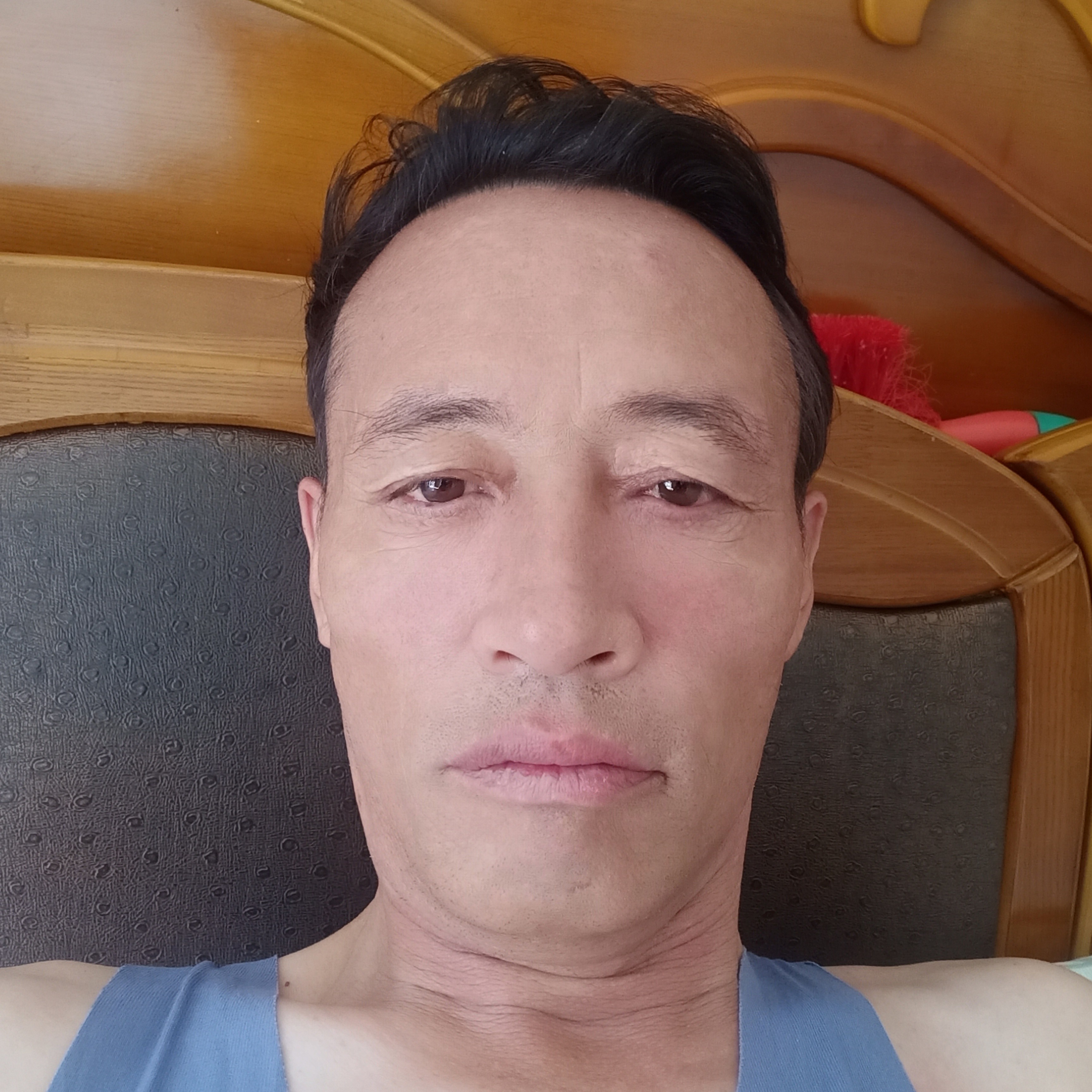 健康的乌龟的照片