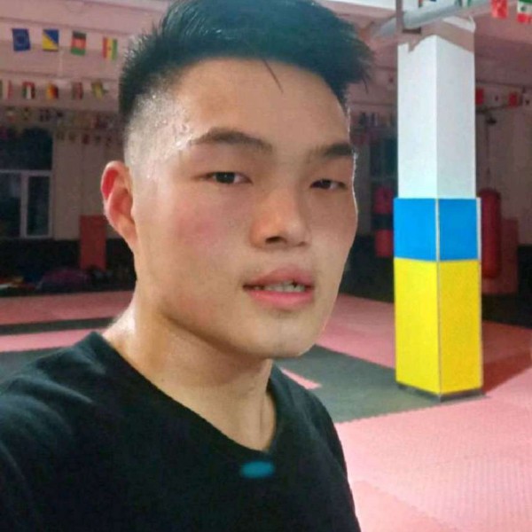 小鸽子迎和谐的照片