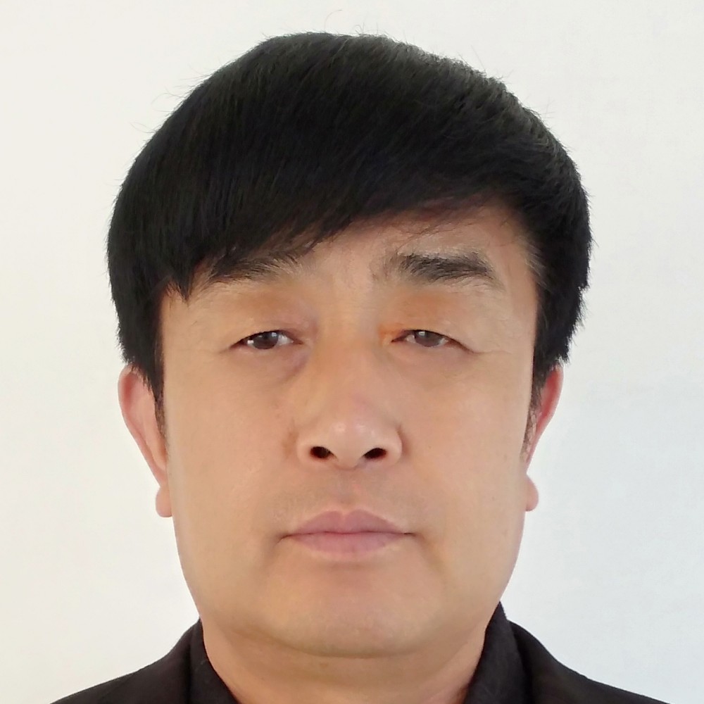 金毛和拉长的照片