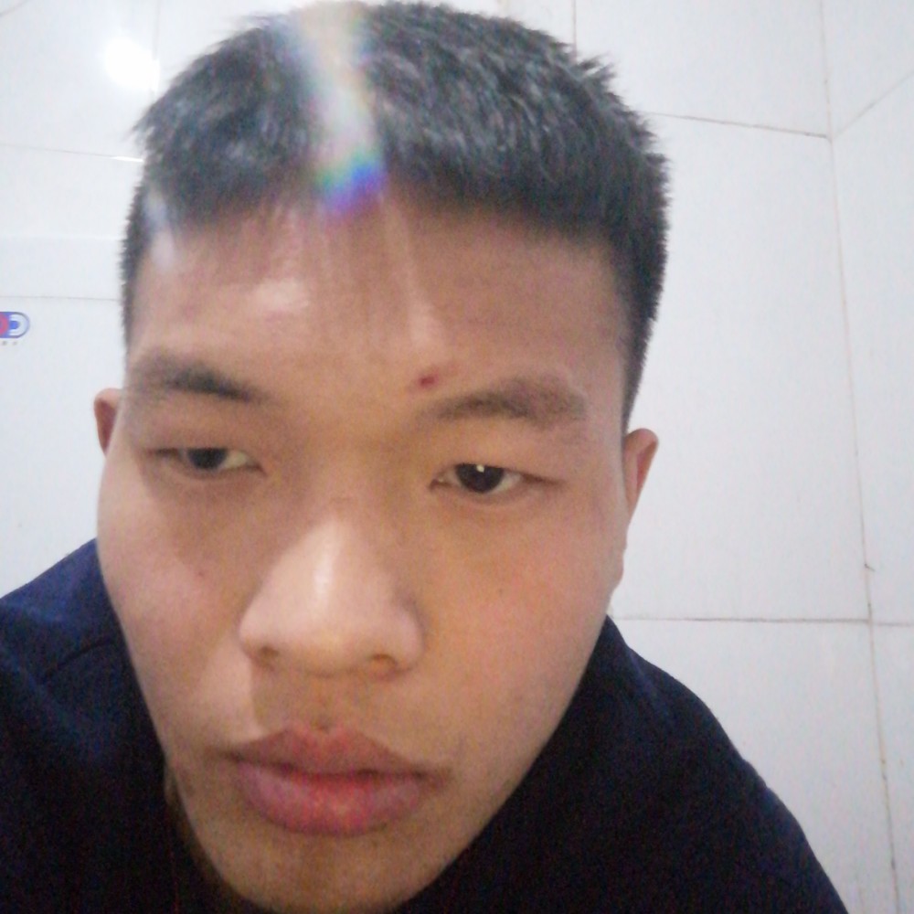 东西都是的照片