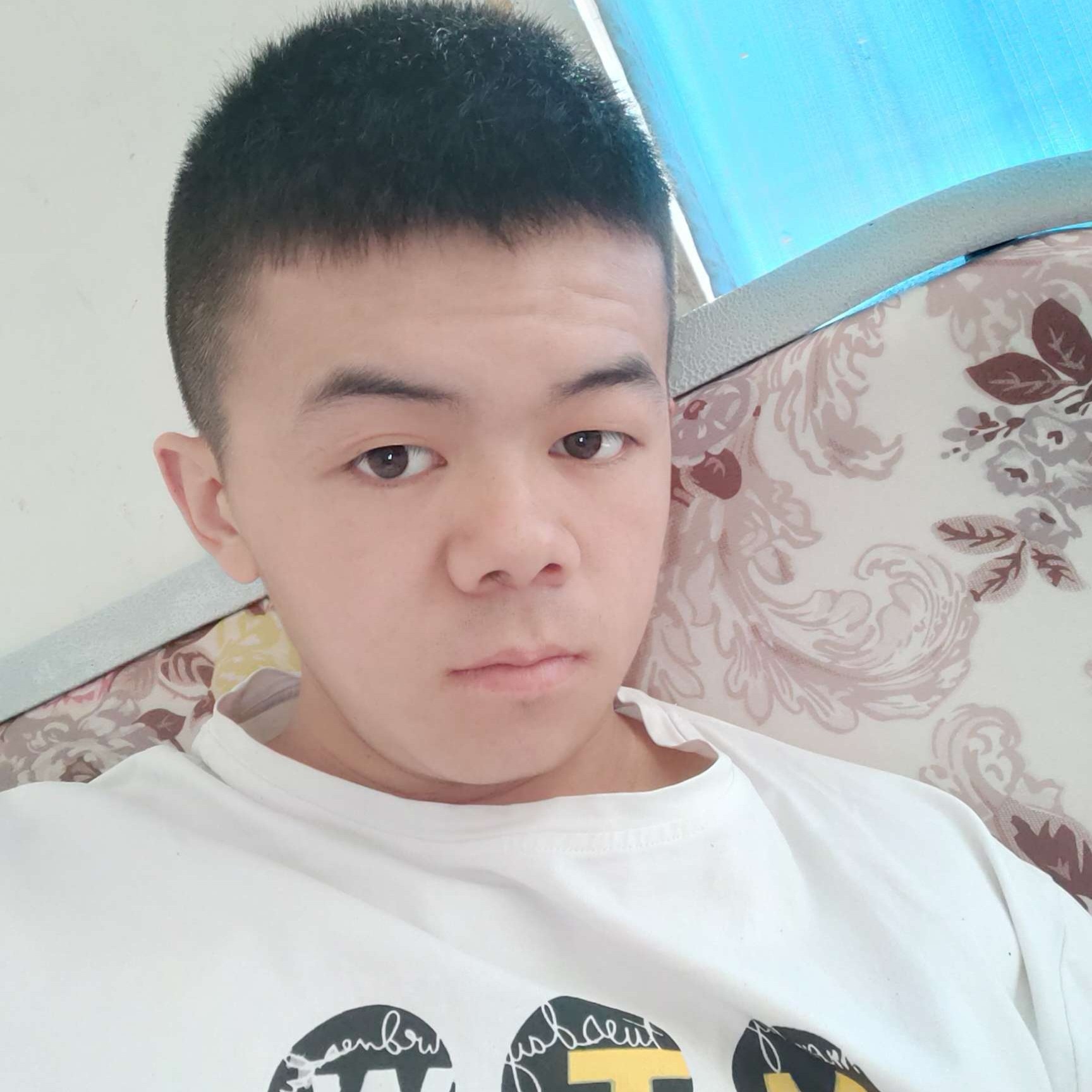 勤劳停止鼠标的照片