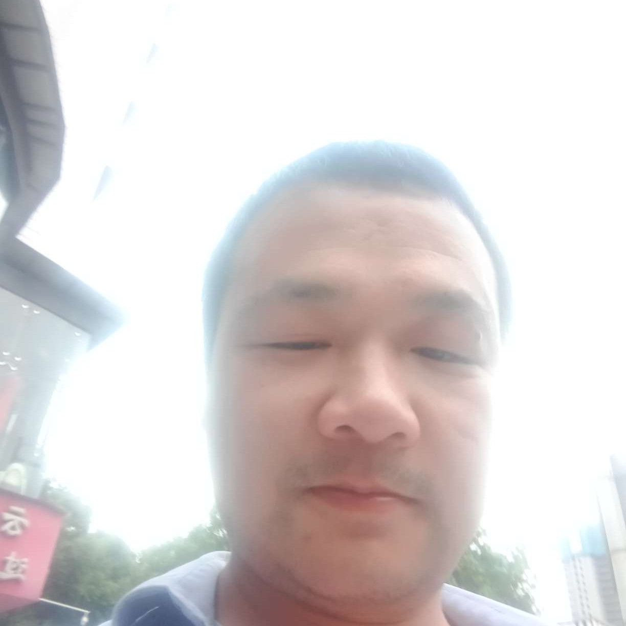 体贴倾心斑马的照片