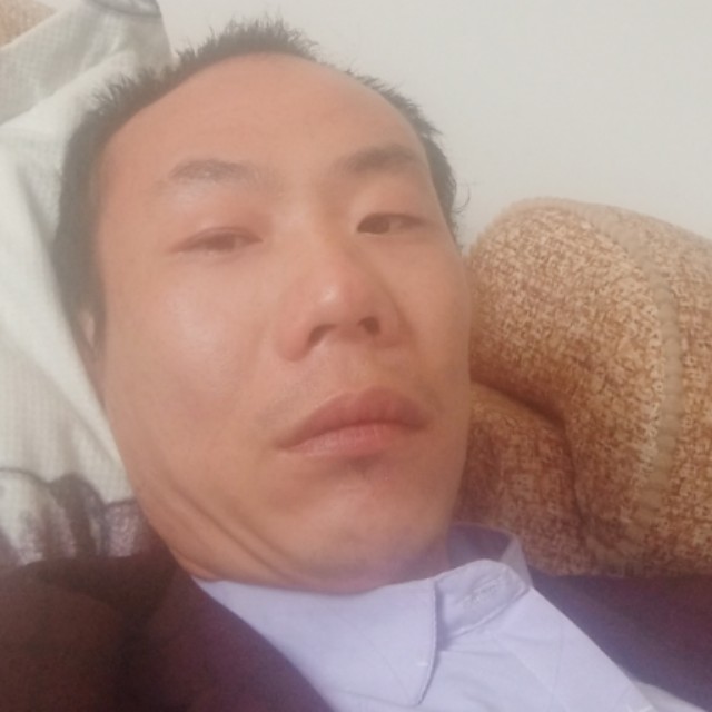 拉长向老鼠的照片