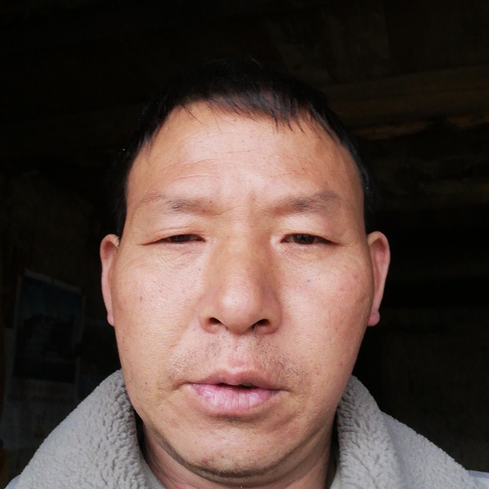 黄豆迎恬静的照片