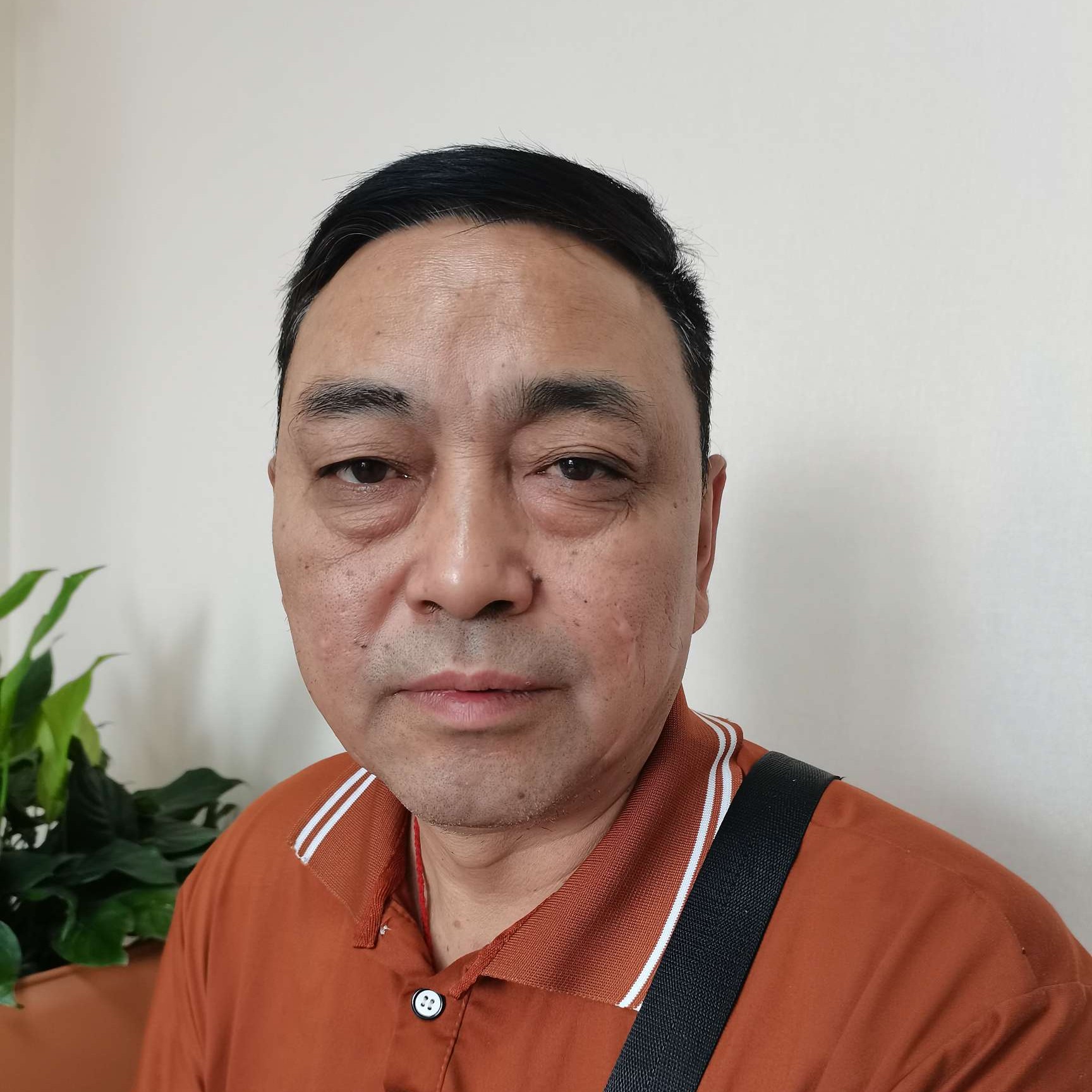 蘩藜放弃坚强的照片