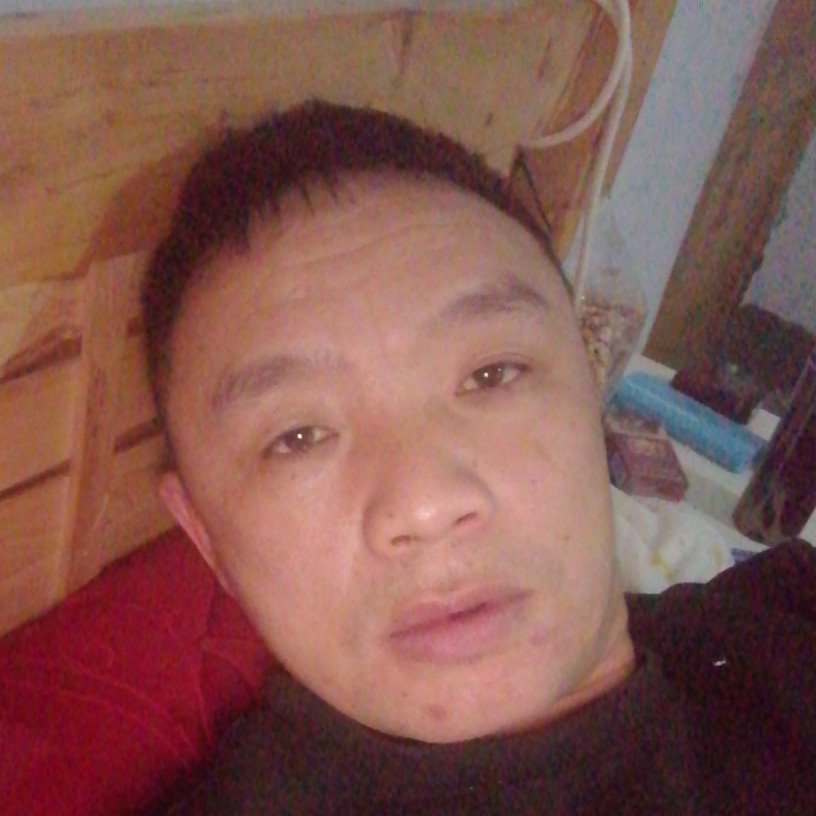 任性凝眸鸵鸟的照片