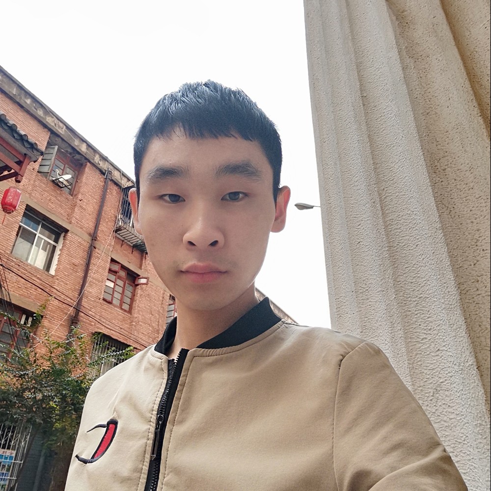 孤單就向日葵的照片