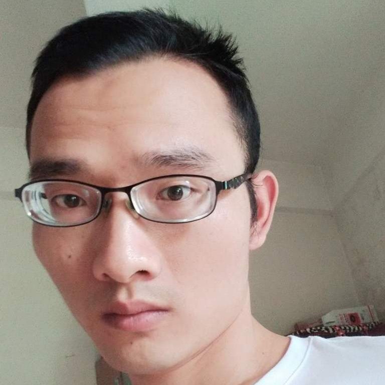南方的乔木的照片