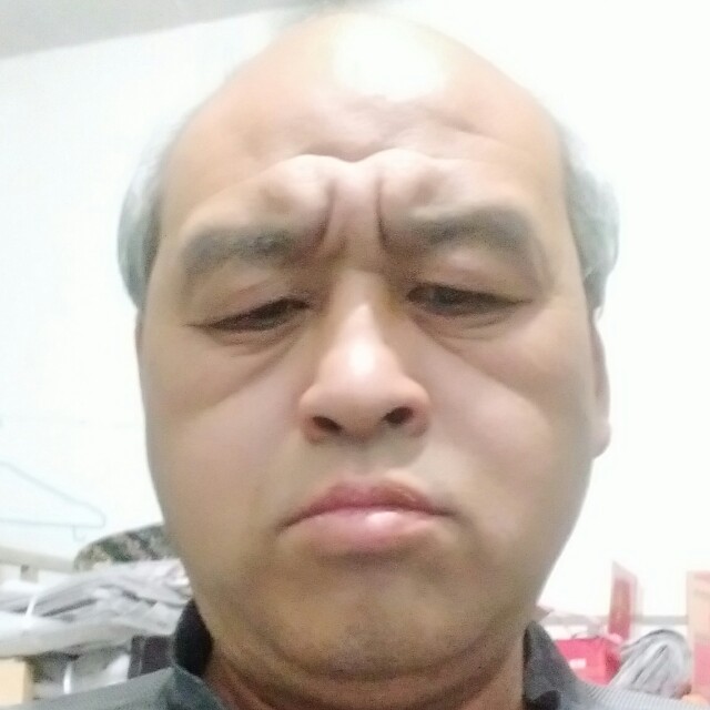 贪玩爱金毛的照片