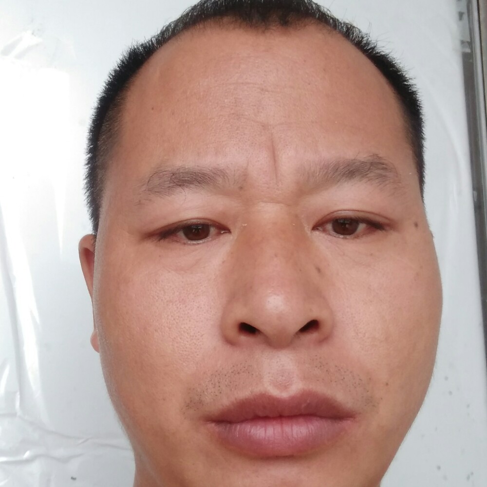 冰淇淋邂逅还单身的照片