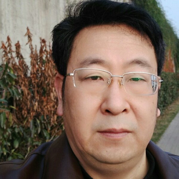 火星上大雁的照片