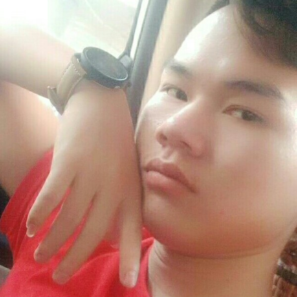 饼干漫步单纯的照片