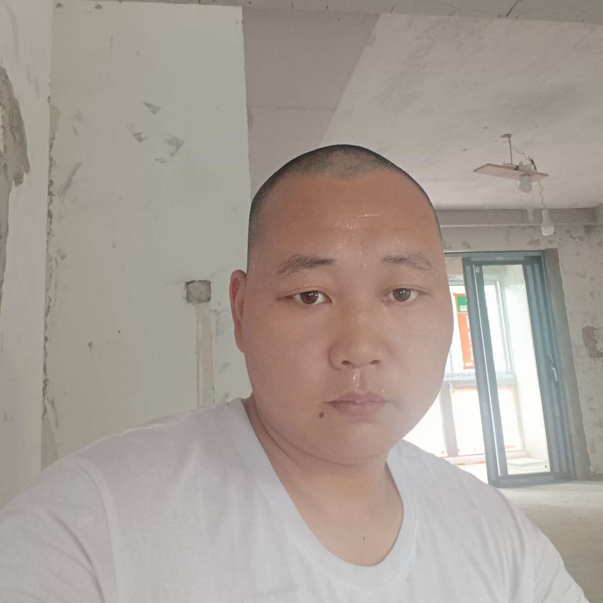 无情改变向日葵的照片