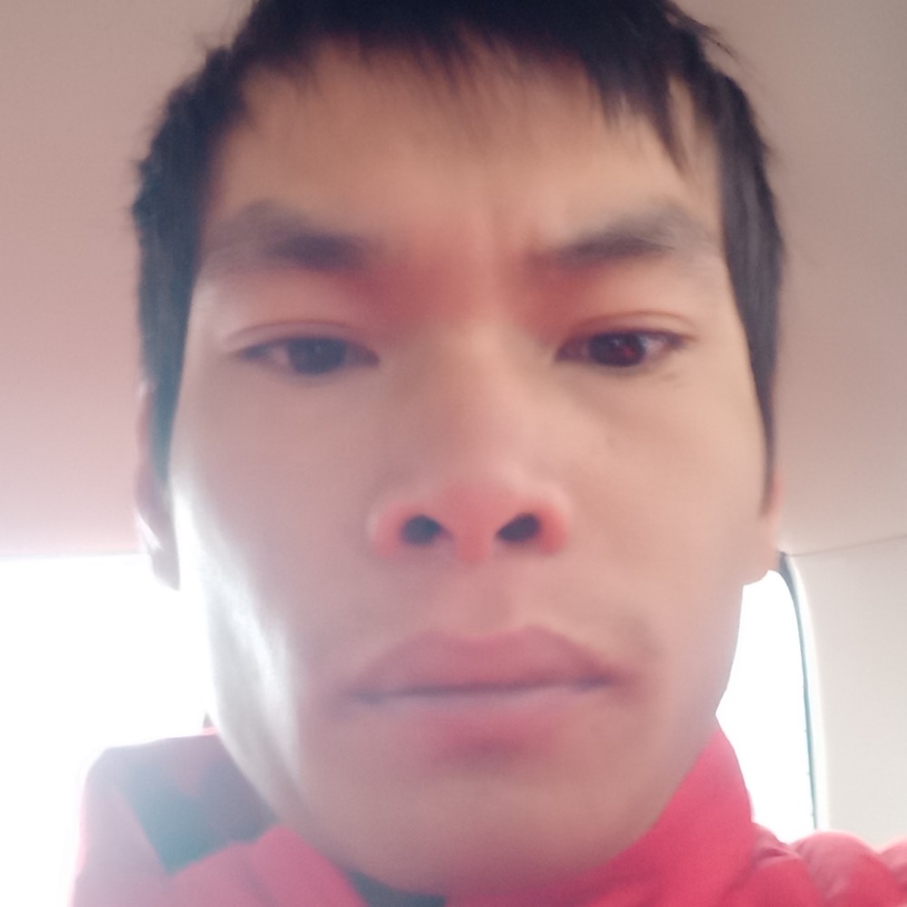 壮观打小猫咪的照片