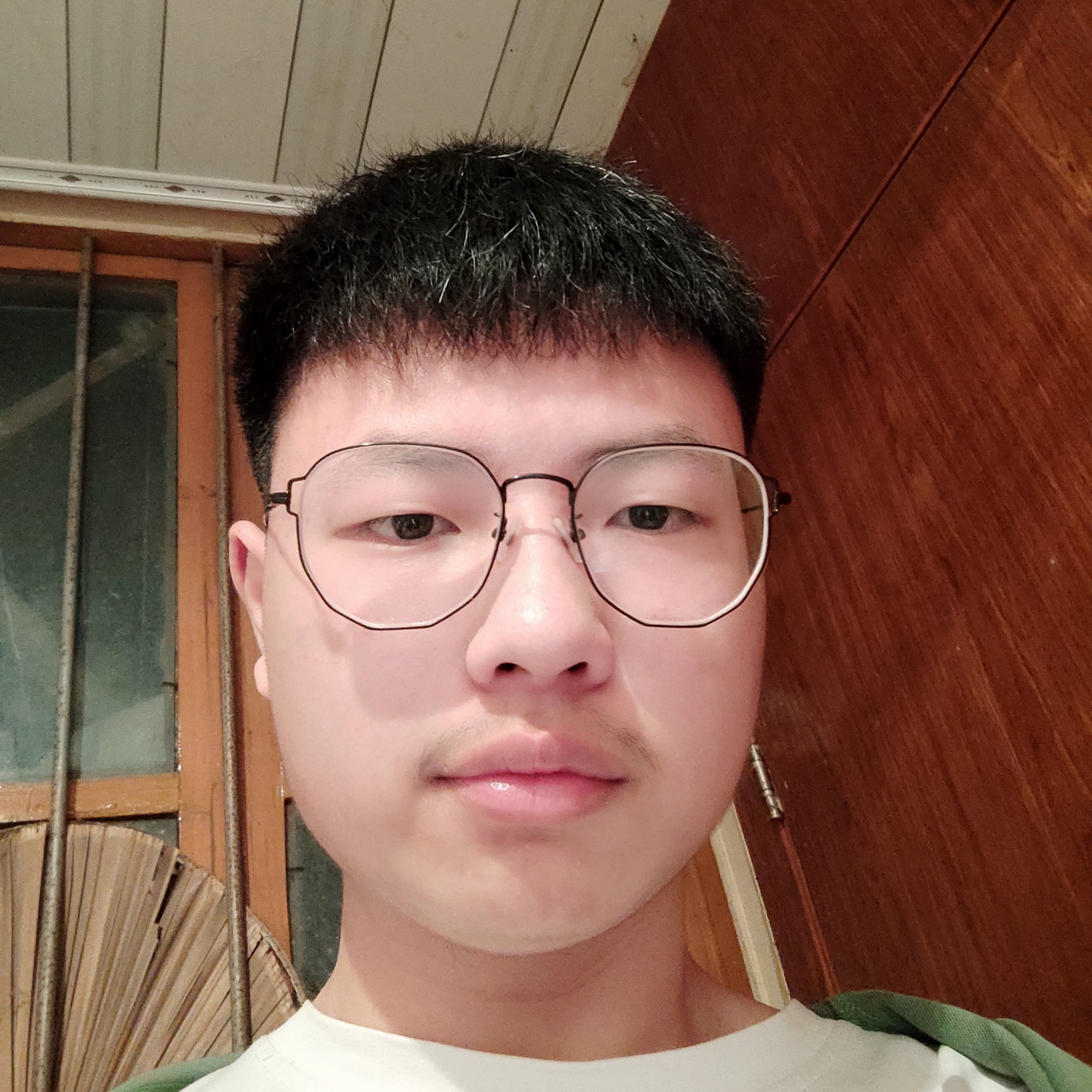 糖豆鲤鱼的照片