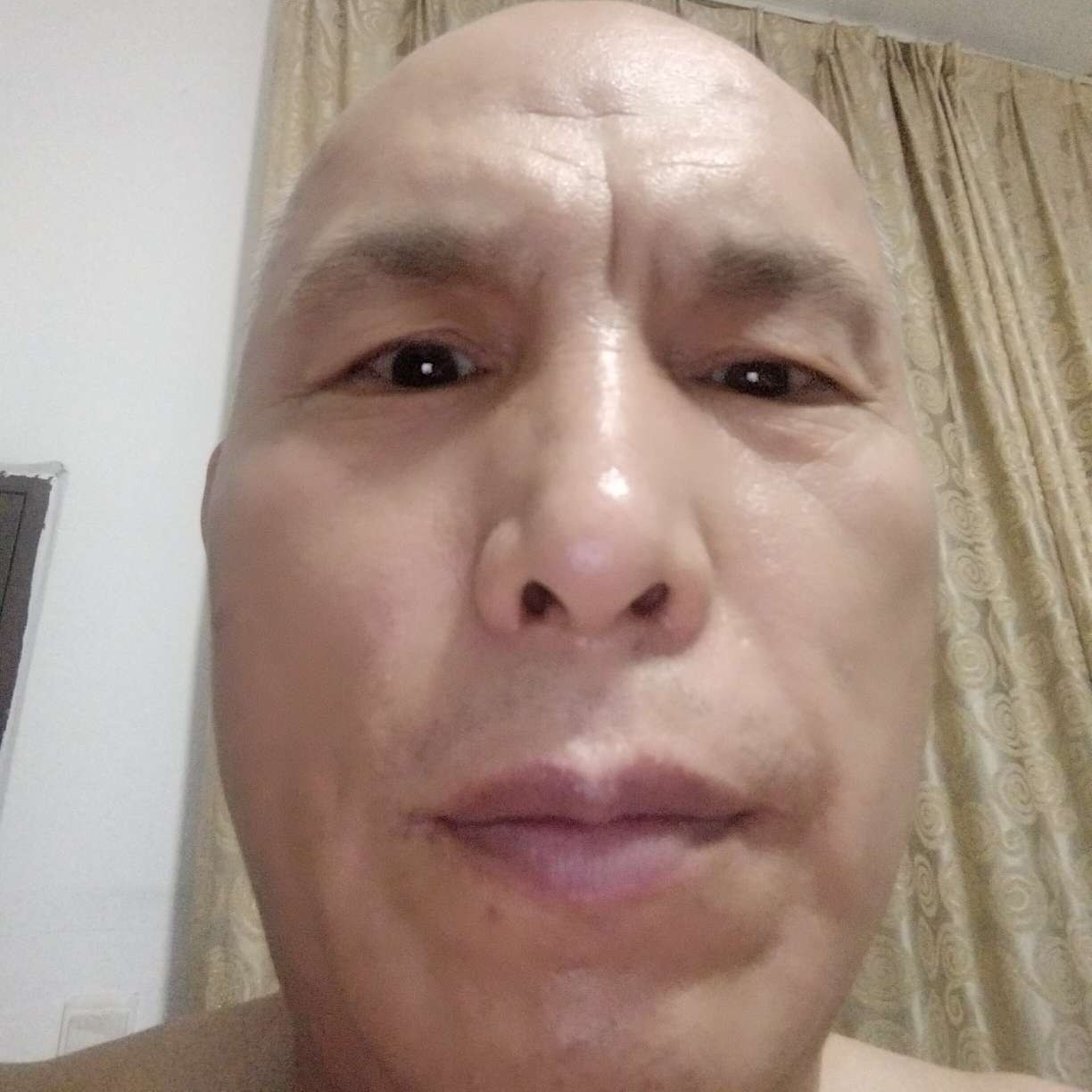 胡萝卜给明媚的照片